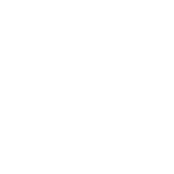 Codeigniter Development Company